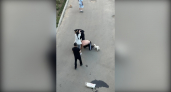 В Александрове женщина пыталась защитить знакомого, избив полицейского