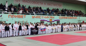 Команда Владимирской области собрала 37 золотых медалей на фестивале единоборств