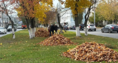 Во Владимире состоялся общегородской осенний субботник