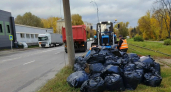 Во Владимире ведется ликвидация мешков с листвой