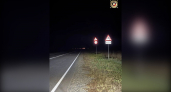 Автобус с 17 пассажирами сбил лося по пути в Муром