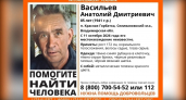 Во Владимирской области вторые сутки ищут 85-летнего пенсионера