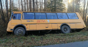 В Петушинском районе автобус со школьниками съехал в кювет