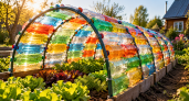 Собираю тоннель-парник из пластиковых бутылок как конструктор LEGO: открываю сезон раньше, а закрываю позже