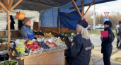 Во Владимире выявили два случая незаконной продажи овощей и фруктов