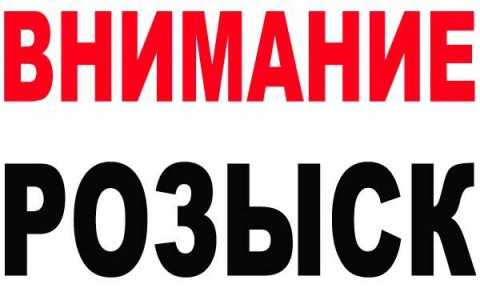 В канун Нового года во Владимире пропали мужчина и женщина