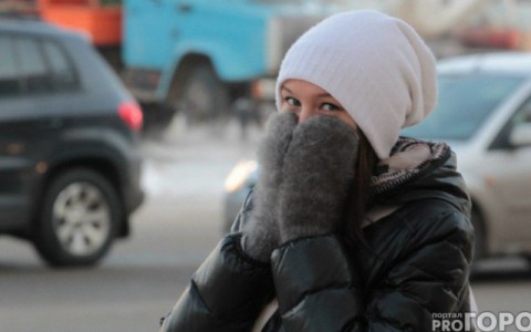 Во Владимирской области ожидается сильный мороз – до -35 °С