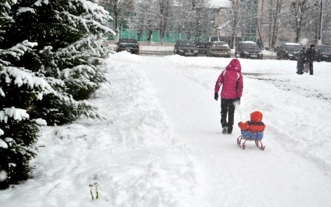 Владимирским школьникам каникулы продлили еще на 3 дня