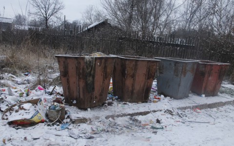 Горожанка: "На Лакина на помойке лежит мертвая собака с удавкой на шее"