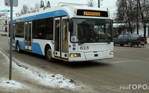 На Нижней Дуброве троллейбус сбил пешехода