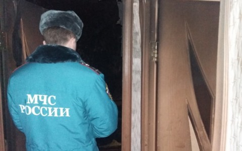 Во Владимирской области 3-летняя девочка устроила пожар и погибла, оставшись одна в квартире