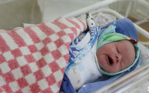 У двухлетнего Путина во Владимирской области появился двоюродный брат Шойгу