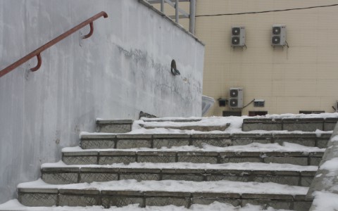 Жительница Владимира едва не сломала позвоночник, упав на городской лестнице