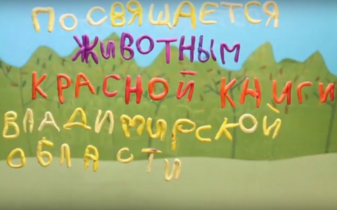 Мультфильм владимирских школьников стал победителем всероссийского фестиваля