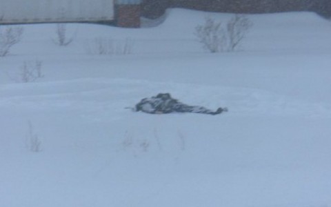 Новости России: Пациентка замерзла насмерть рядом с больницей