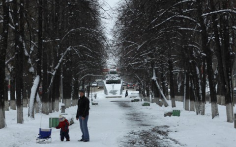 Владимирские чиновники пустят 300 млн на благоустройство парков и дворов