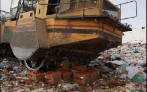 Во Владимирской области уничтожили почти 300 килограммов продуктов