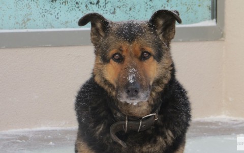 Во Владимире ожидается резкий температурный перепад с 0 до -12