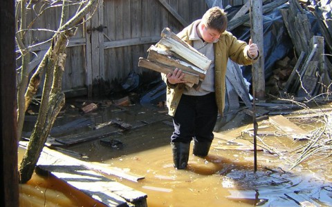 В Камешковском районе безработный вырубил небольшую березовую рощу