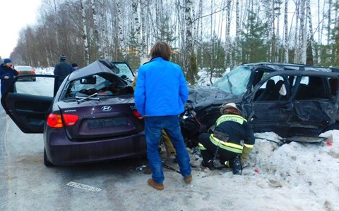 Два человека погибли и пятеро человек пострадали в ДТП в Меленковском районе