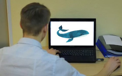 Смертельные «киты» доплыли до Владимира
