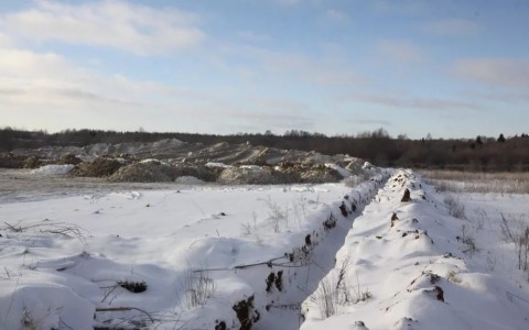 Жителя Камешково зарезали и закопали в лесу из-за долга в 5 000 рублей