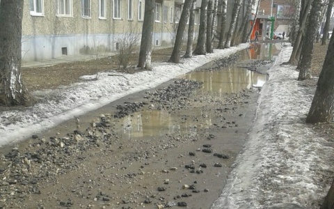 Во Владимире асфальт стремительно тает вместе со снегом