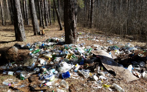 Владимирское лесничество утопает в горах мусора и грязи
