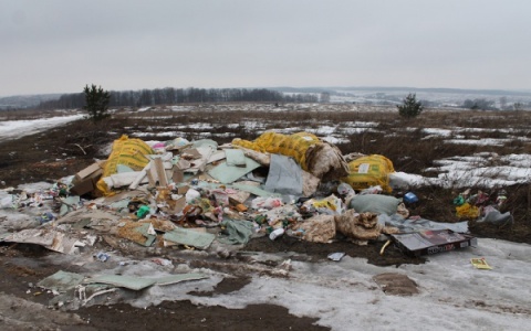 Во Владимире началась борьба со стихийными свалками