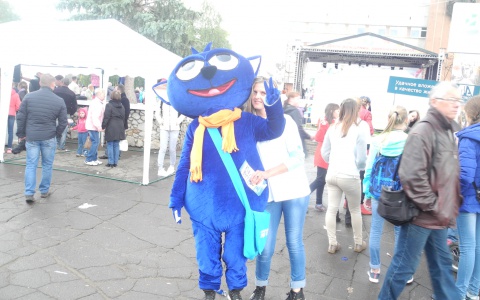 5 бесплатных мероприятий, которые можно посетить на этой неделе во Владимире