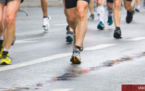 Владимирцам предлагают проголосовать за символ полумарафона