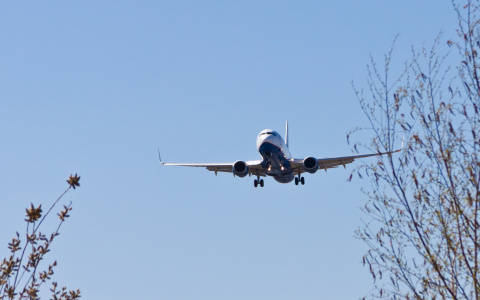 Из Владимира можно будет улететь в Сочи?