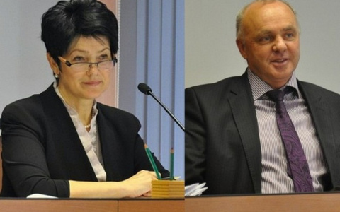 Владимирские депутаты отчитались о доходах