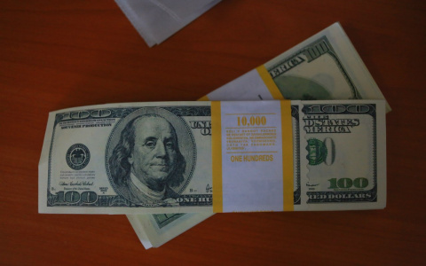 Владимирская семья за год организовала целый подпольный бизнес