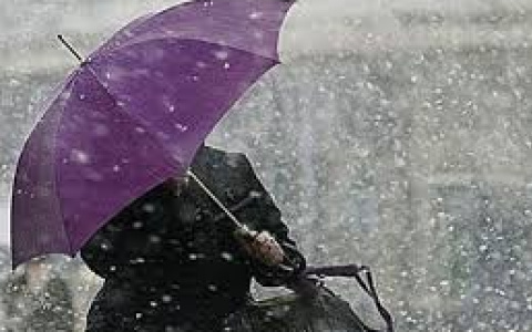 МЧС предупреждает: во Владимире ожидается сильный ветер