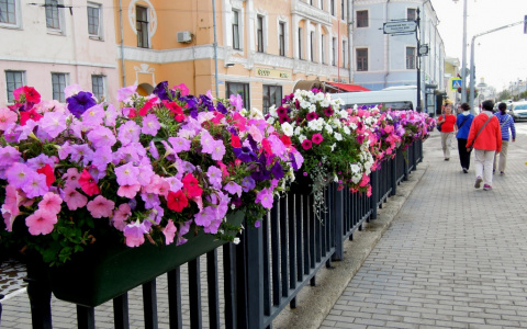 Владимир расцветет в майские праздники