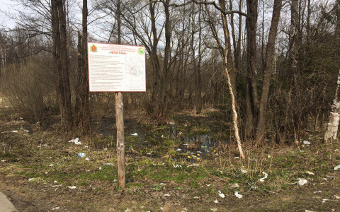 Во Владимирской области памятник природы стал помойкой (фото)