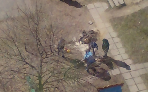 Горожанин: "Управляющая компания разрушила нашу уютную детскую площадку!"