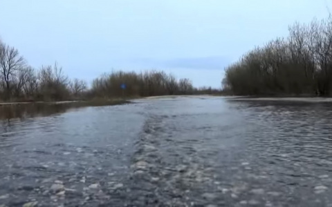 Маленькая Венеция появилась под Владимиром (видео)