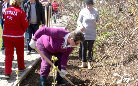 34 тысячи владимирцев убрали город