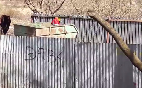 Дети во Владимирской области вынуждены лазить по помойкам (видео)