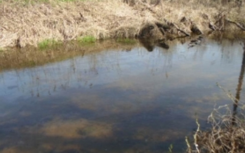 Одна из рек во Владимирской области покрылась масляными пятнами