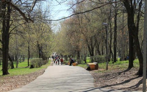 Владимирцев ожидают грозы и похолодание