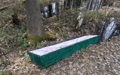 Топ-5 фактов, расстроивших владимирцев в праздничные выходные