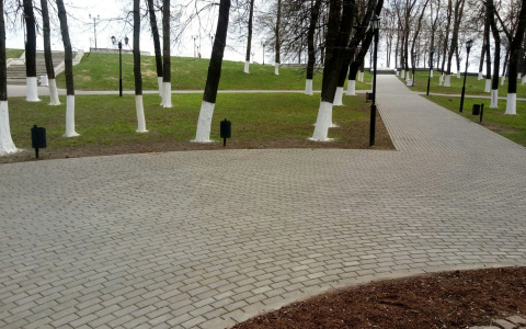 Владимирская мэрия пояснила, куда пропали лавочки из "Пушкаря"