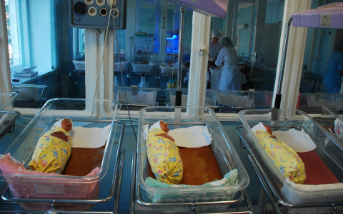 Владимирские родители в апреле называли детей Тейя, Назар и Дарина