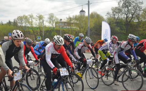В спортивном празднике, посвященном Дню Победы, приняли участие 8 тысяч владимирцев