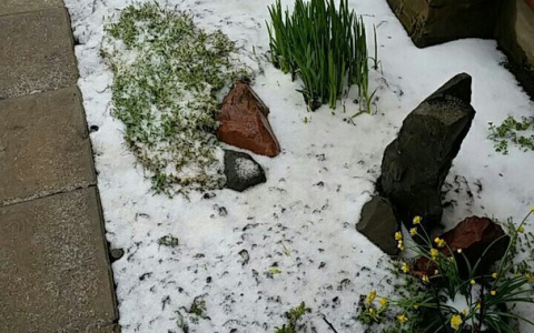 В начале мая владимирцев завалило снегом (фото)