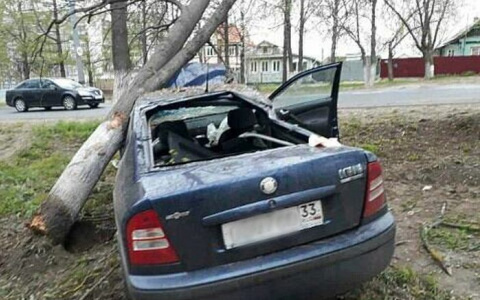 Утром 9 мая в Судогодском районе произошло смертельное ДТП