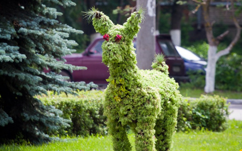 Владимирскому зеленому ослику добавят цветочную тележку